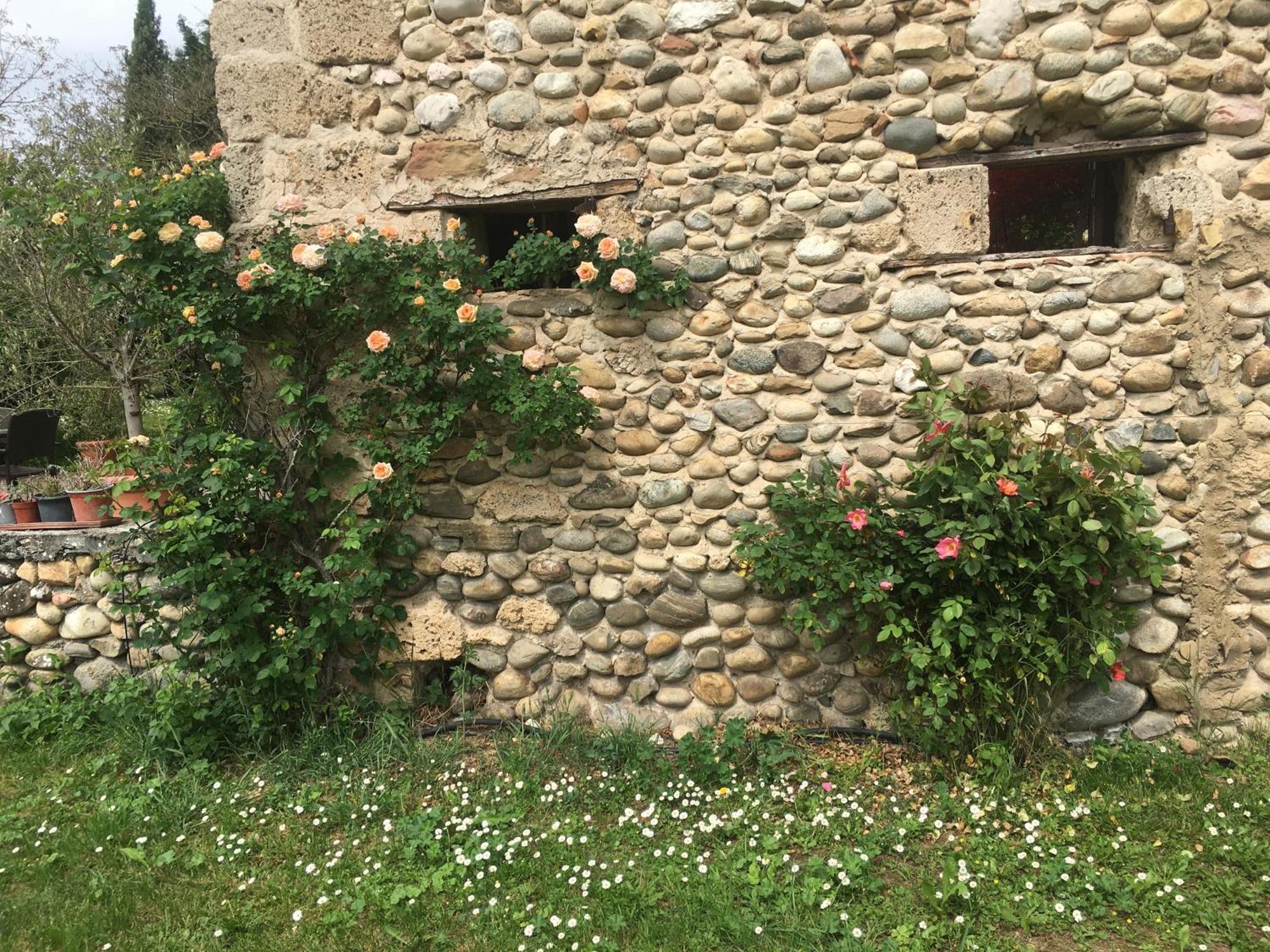 Vercors En Vert , Chambres D'Hotes De Charme Saint-Romans  Luaran gambar