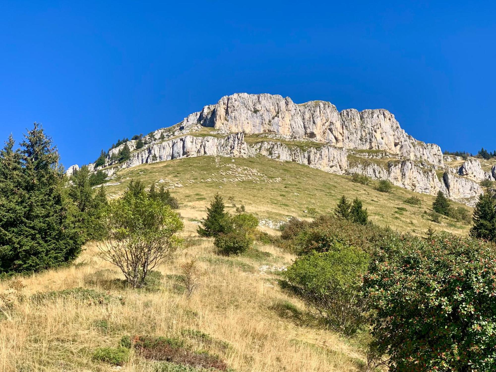 Vercors En Vert , Chambres D'Hotes De Charme Saint-Romans  Luaran gambar