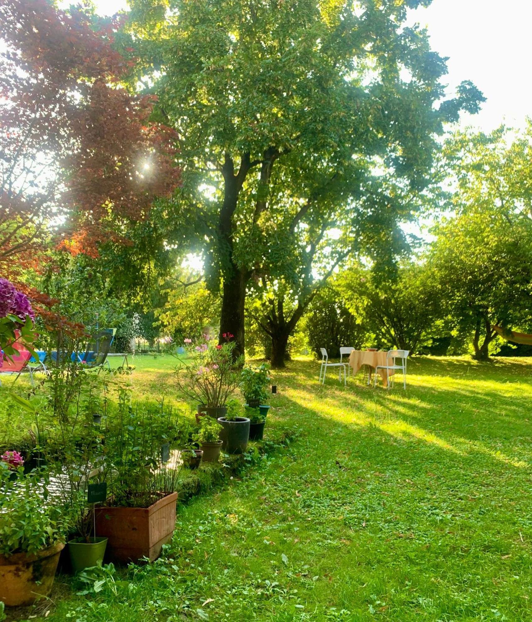 Vercors En Vert , Chambres D'Hotes De Charme Saint-Romans  Luaran gambar
