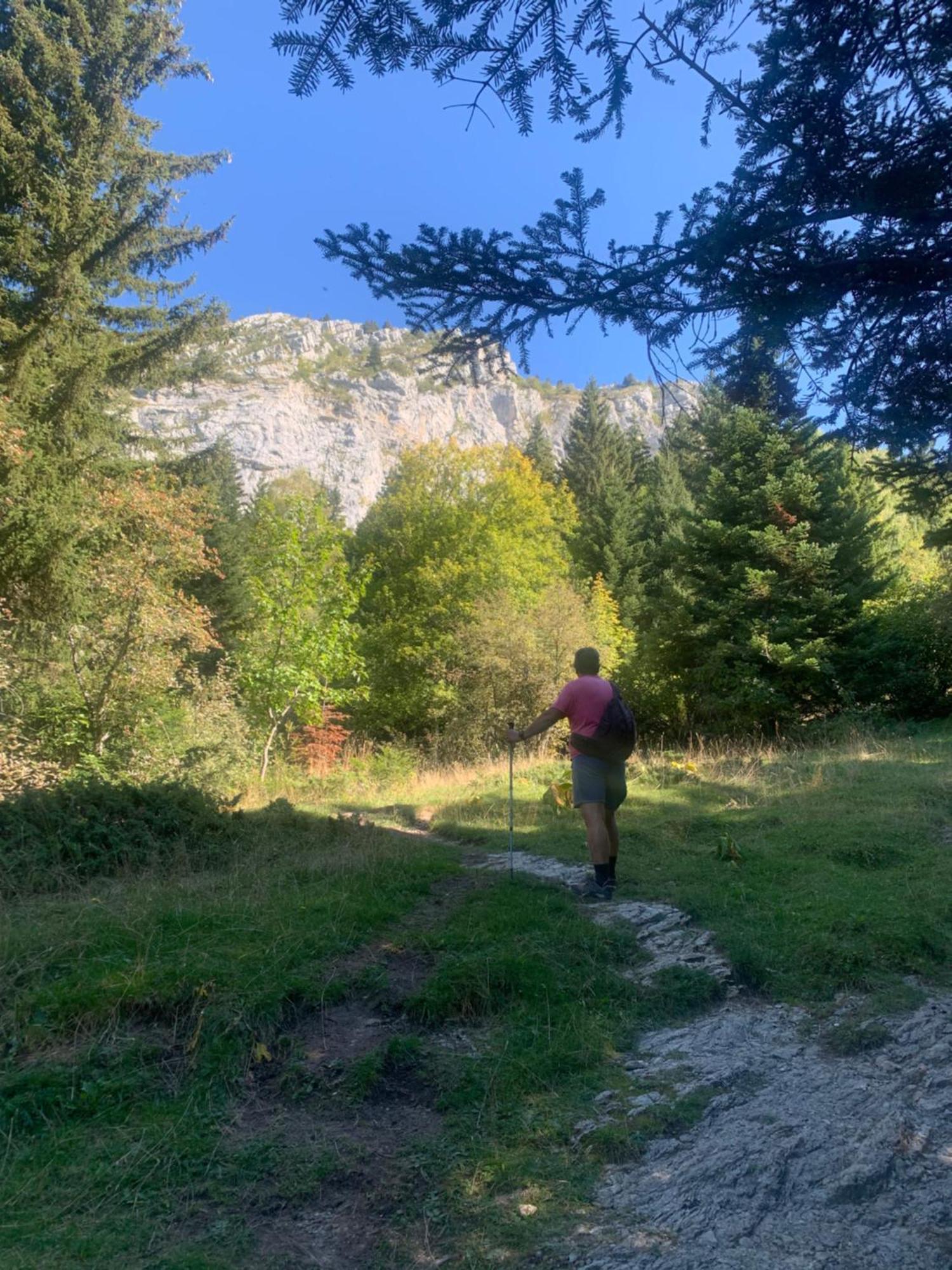 Vercors En Vert , Chambres D'Hotes De Charme Saint-Romans  Luaran gambar